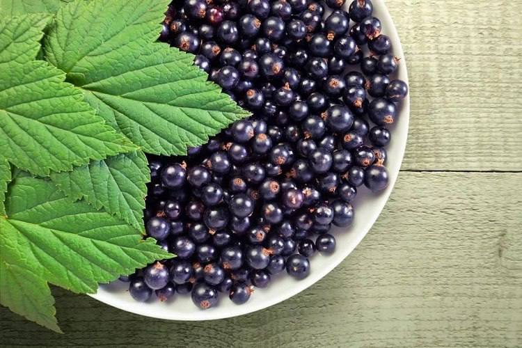 Berries for your blood vessels
